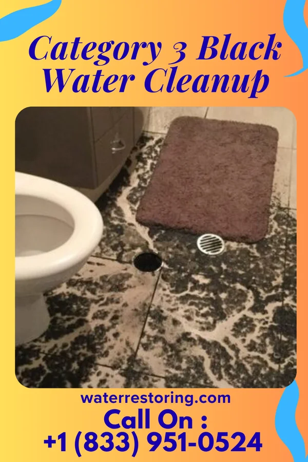Category 3 Black Water Cleanup in Roseland, KS