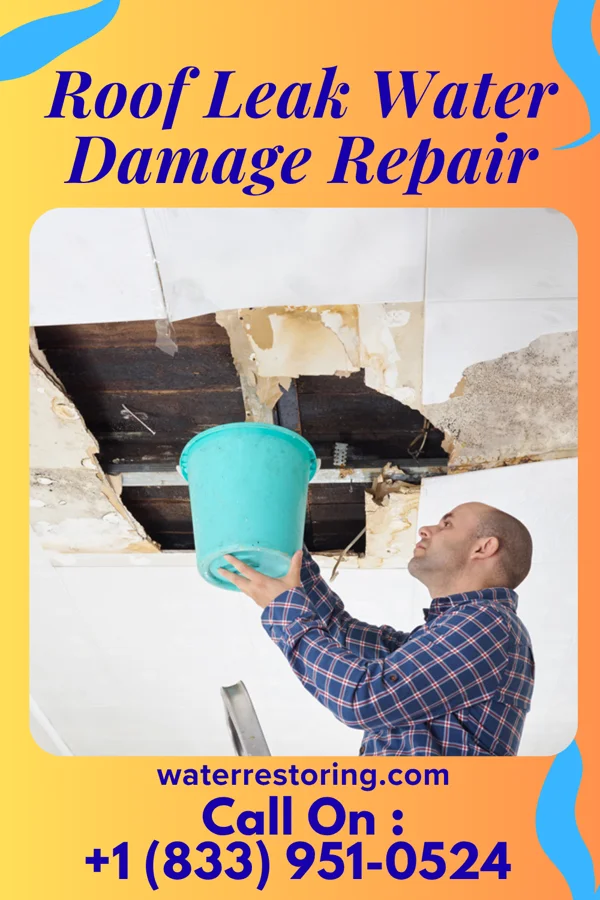 Roof Leak Water Damage Repair in Roseland, KS